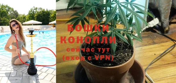 СК Богородицк