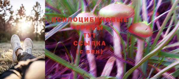скорость Богородск