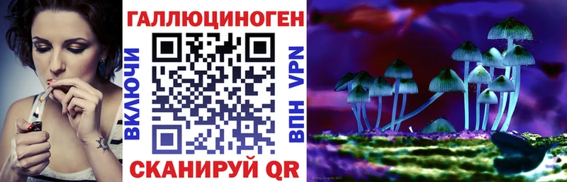 Галлюциногенные грибы Psilocybine cubensis  hydra ссылки  Славянск-на-Кубани  закладка 
