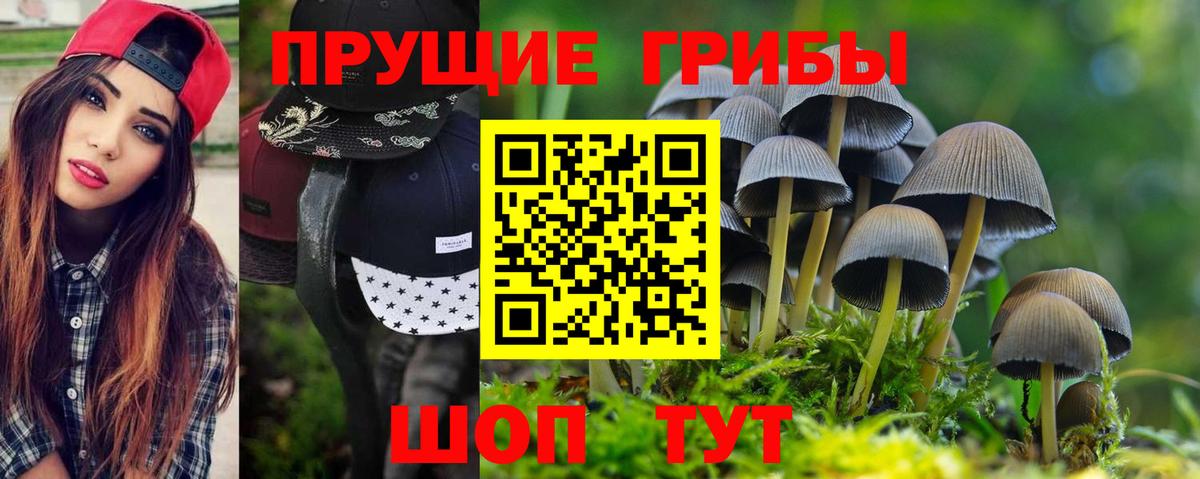 Псилоцибиновые грибы прущие грибы Славянск-на-Кубани