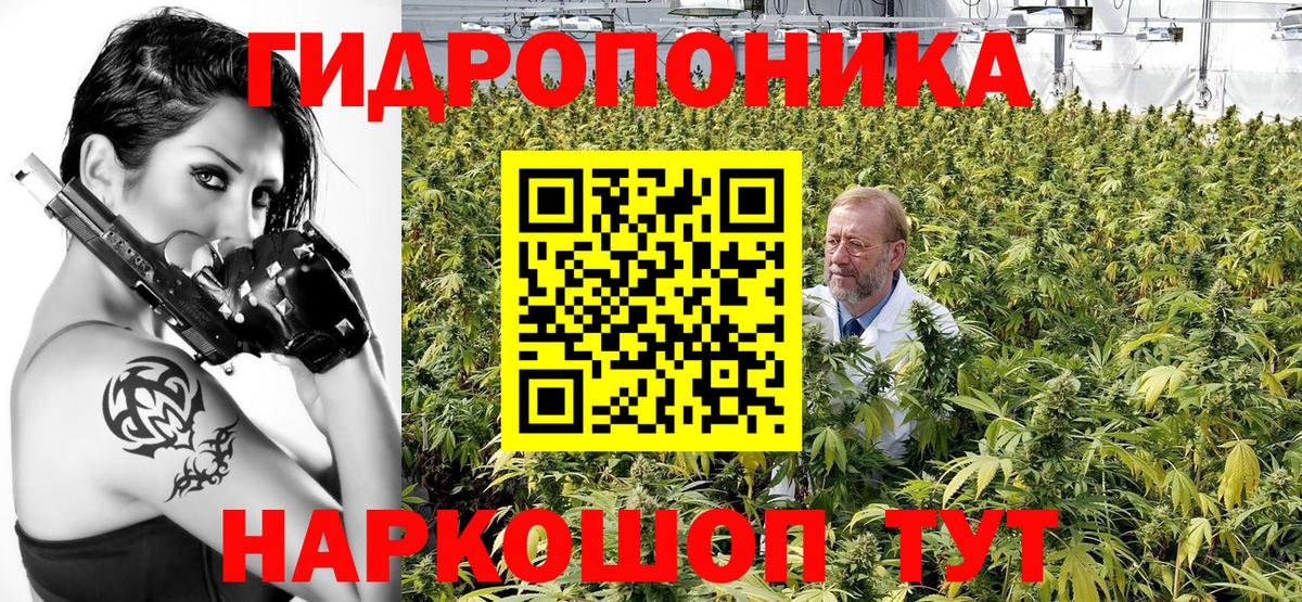 Бошки марихуана конопля Славянск-на-Кубани